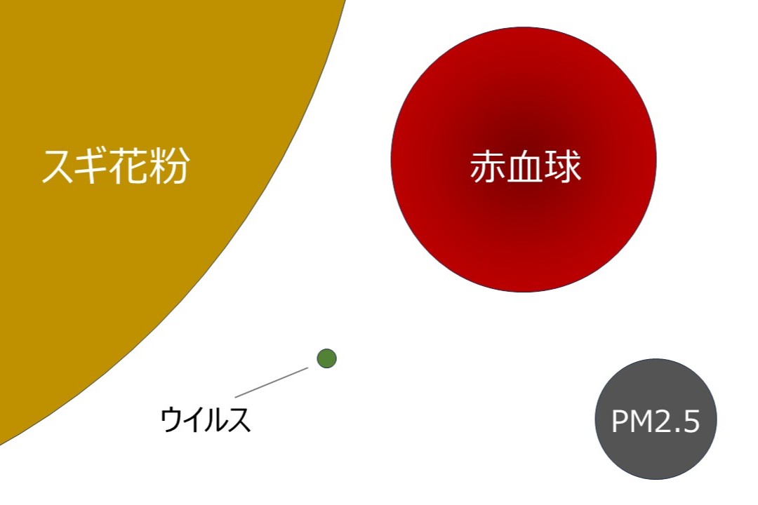 微粒子大きさ比較